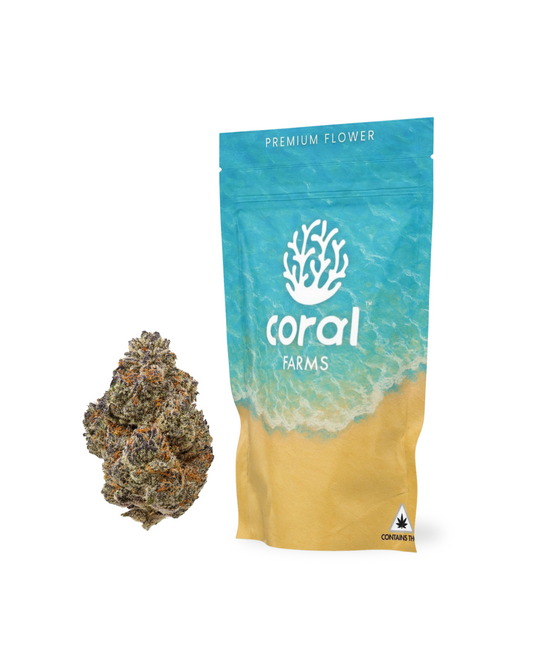 SFV OG